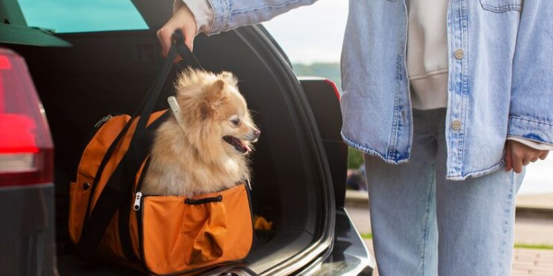 Singapore airlines Check in Baggage Pet Policy