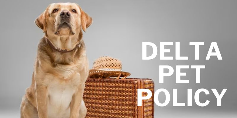 Delta Pet Policy