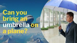Can you bring an Umbrella on a Plane?