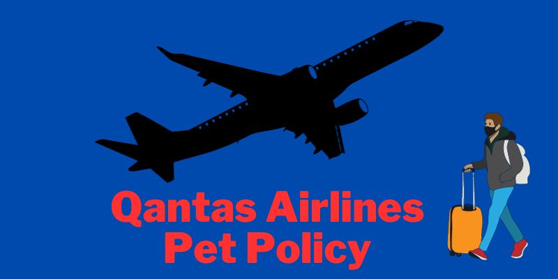 Qantas Airlines Pet Policy