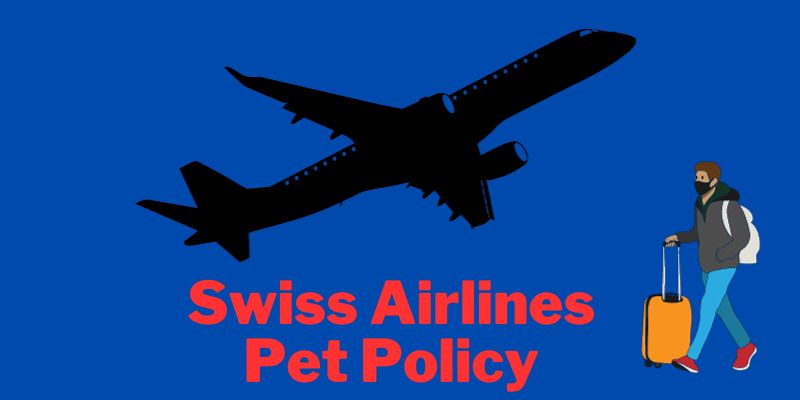 Swiss Airlines Pet Policy