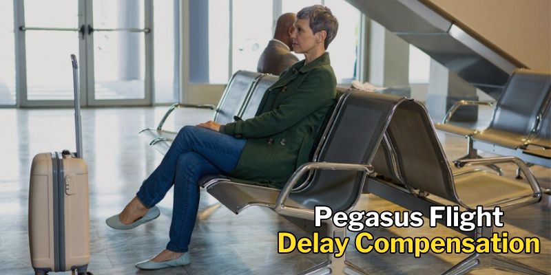 Pegasus Flight Delay Compensation
