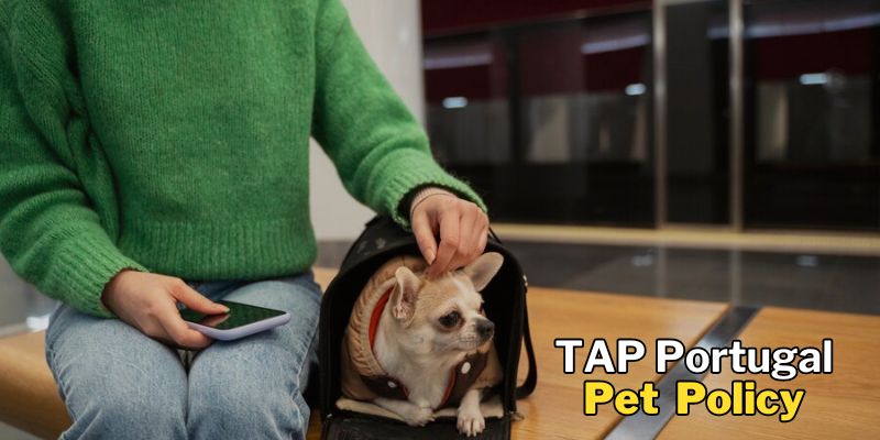 TAP Portugal Pet Policy